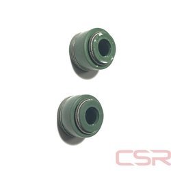 SUPAP KEÇESİ CG TK